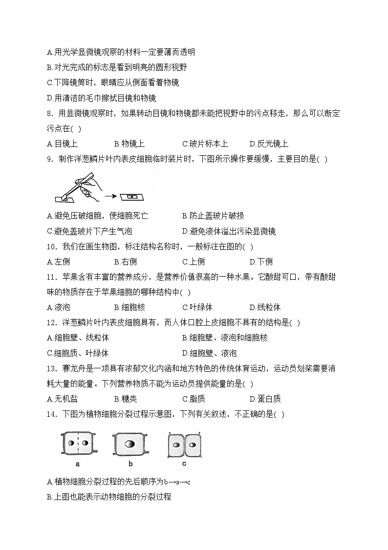 云南省昭通市绥江县2024-2025学年七年级上学期期中考试生物试卷(含答案)第2页