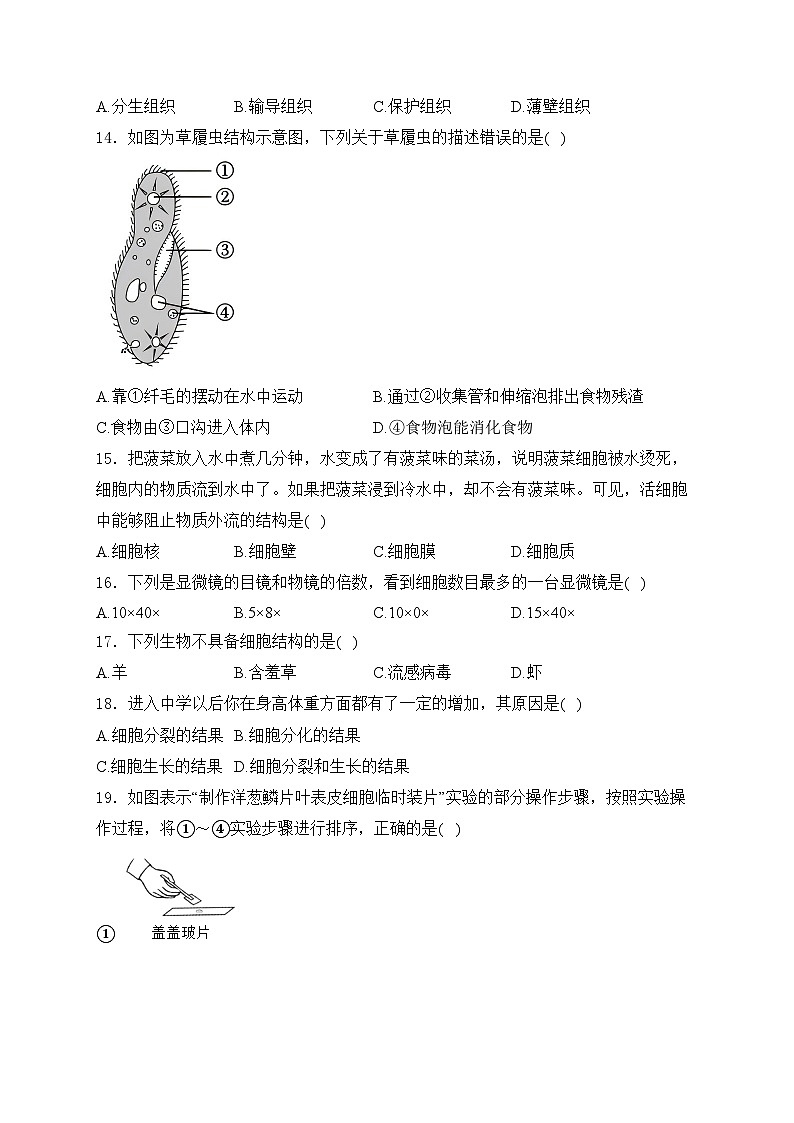 重庆市南川区三校联考2024-2025学年七年级上学期期中考试生物试卷（B卷）(含答案)第3页