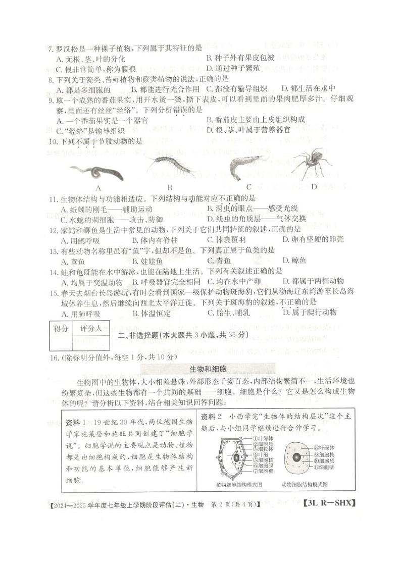 山西省朔州市朔城区2024-2025学年七年级上学期12月月考生物试题第2页