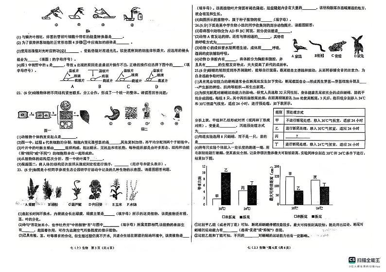 江西省吉安市八校联考2024-2025学年七年级上学期12月月考生物试题第2页