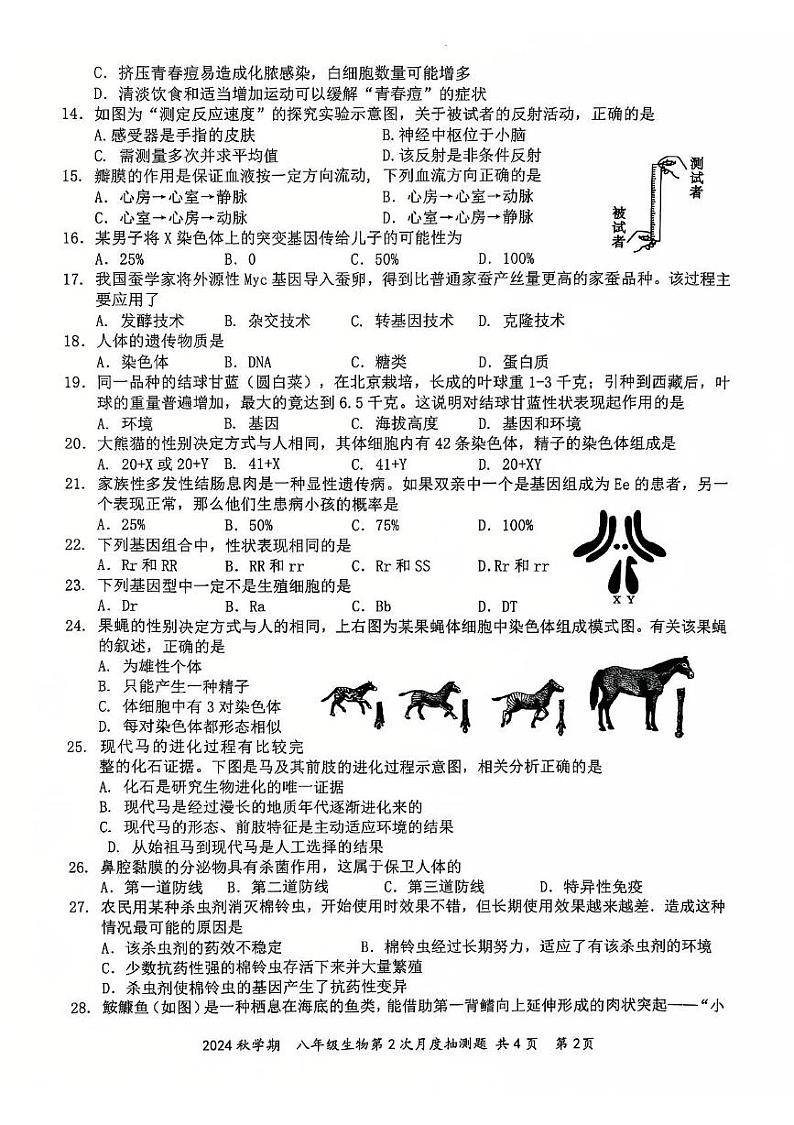 江苏省泰州市兴化市2024-2025学年八年级上学期12月月考生物试题第2页