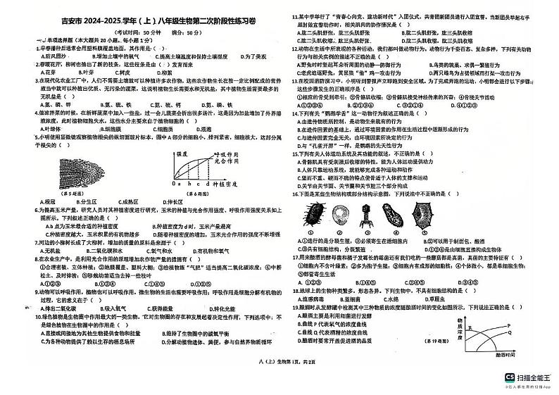 江西省吉安市吉安市八校联考2024-2025学年八年级上学期12月月考生物试题第1页