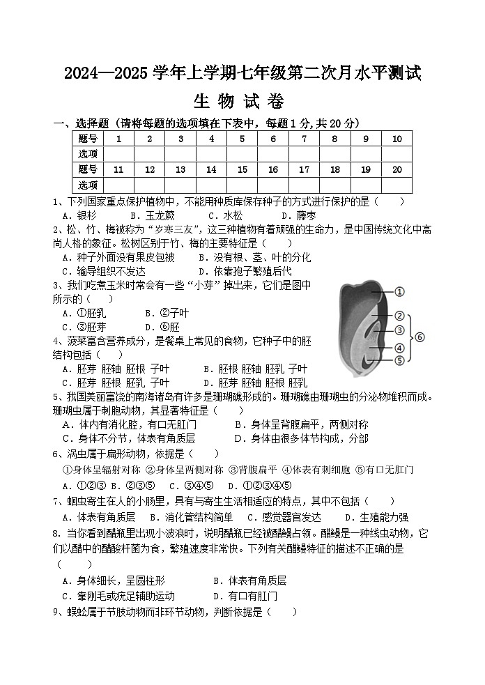 七年级生物第1页