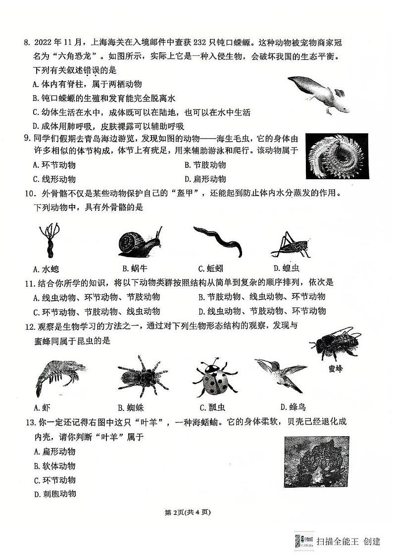山西省太原市第五中学校2024-2025学年七年级上学期12月月考生物试题第2页