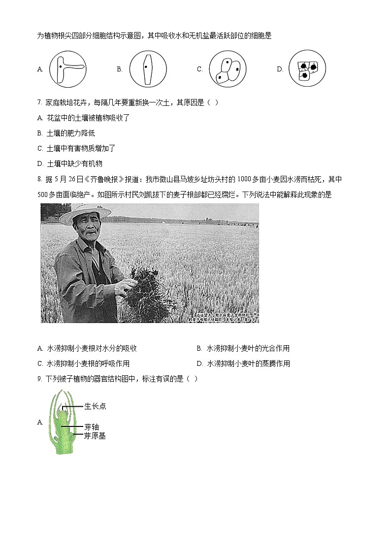 河北省唐山市迁安市2024-2025学年八年级上学期期中生物试题（原卷版）-A4第2页