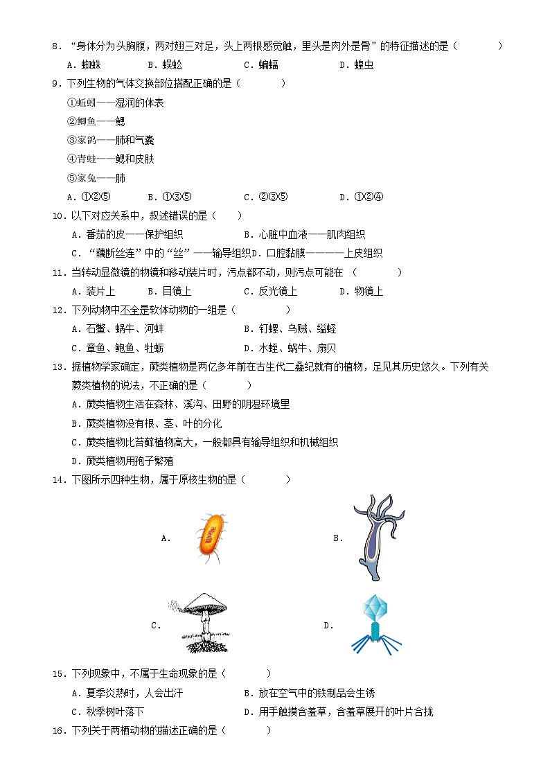 七年级生物期末模拟卷【测试范围：人教版2024七上全册】（考试版A4）（新疆专用）-A4第2页