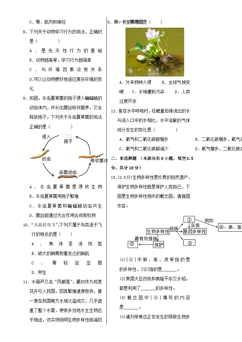 八年级生物期末模拟卷【测试范围：人教版上册全部内容】（考试版A3）（辽宁专用）-A4第2页