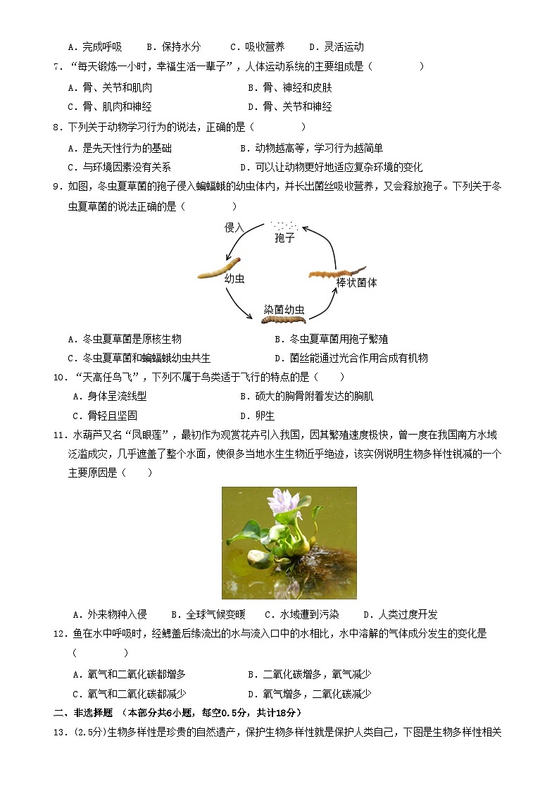 八年级生物期末模拟卷【测试范围：人教版上册全部内容】（考试版A4）（辽宁专用）-A4第2页
