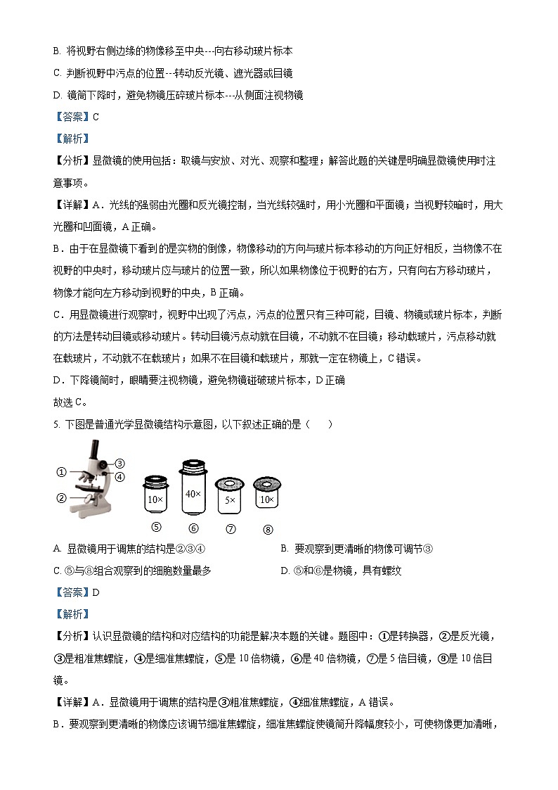 河南省漯河市实验中学2024-2025学年七年级上学期期中生物学试题（解析版）-A4第3页