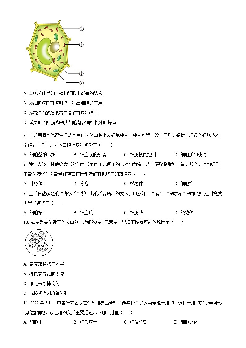 河北省保定市清苑区2024-2025学年七年级上学期期中生物学试题（原卷版）-A4第2页
