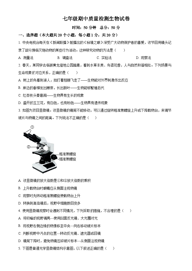 河南省漯河市实验中学2024-2025学年七年级上学期期中生物学试题（原卷版）-A4第1页