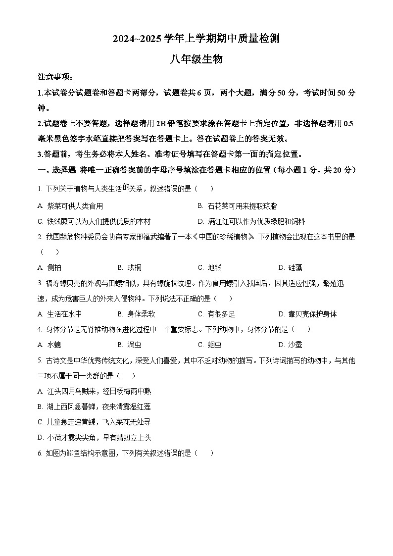 河南省平顶山市汝州市2024-2025学年八年级上学期期中生物试题（原卷版）-A4第1页