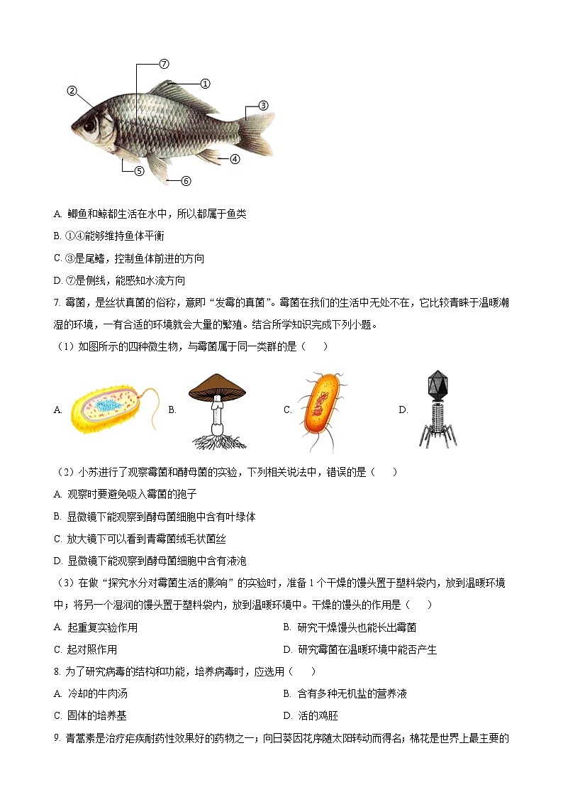 河南省平顶山市汝州市2024-2025学年八年级上学期期中生物试题（原卷版）-A4第2页