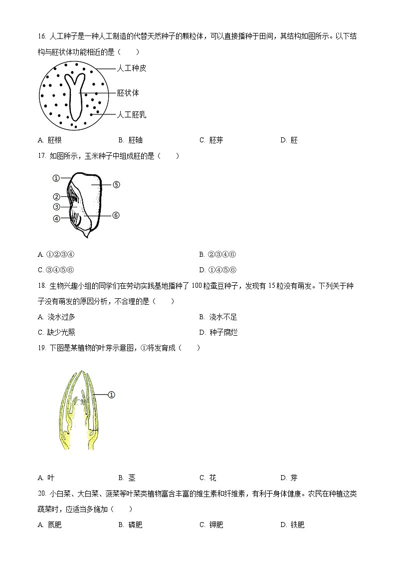 河北省保定市清苑区2024-2025学年八年级上学期期中生物试题（原卷版）-A4第3页
