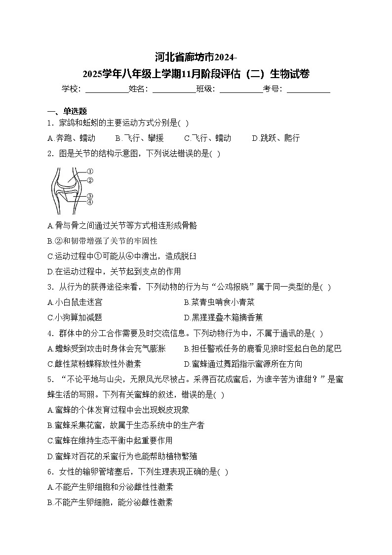 河北省廊坊市2024-2025学年八年级上学期11月阶段评估（二）生物试卷(含答案)第1页