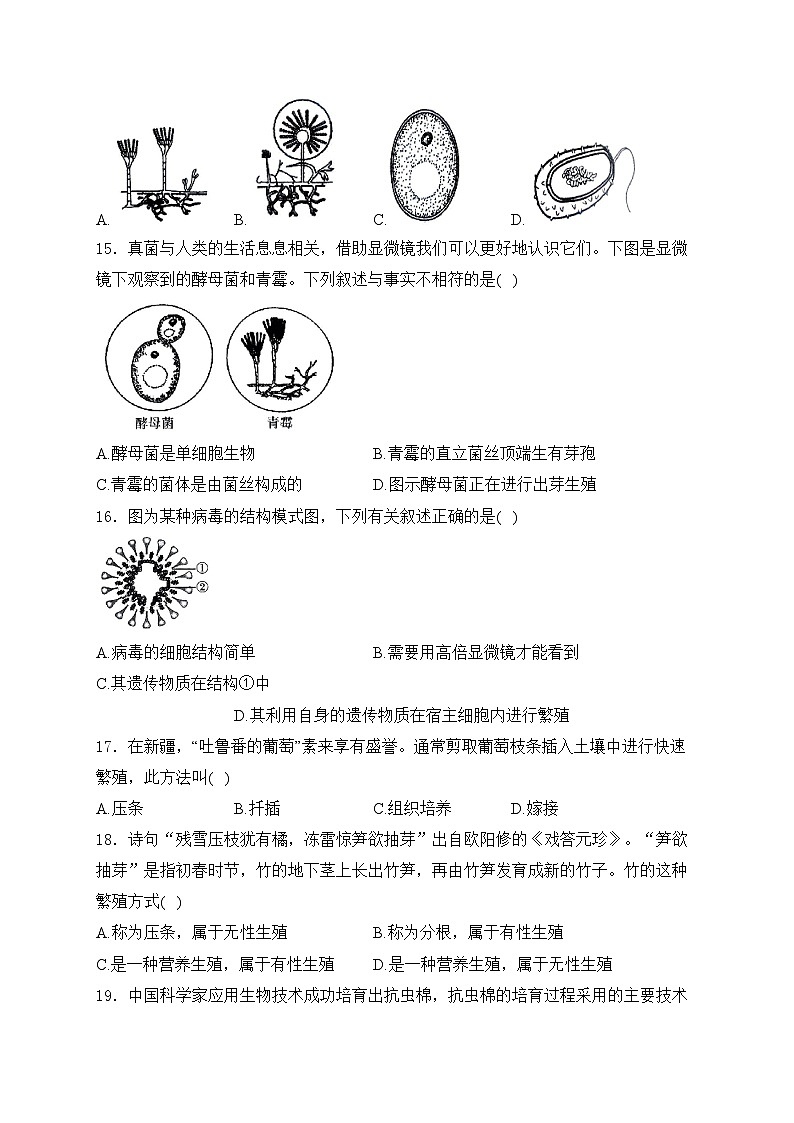 河北省廊坊市2024-2025学年八年级上学期11月阶段评估（二）生物试卷(含答案)第3页