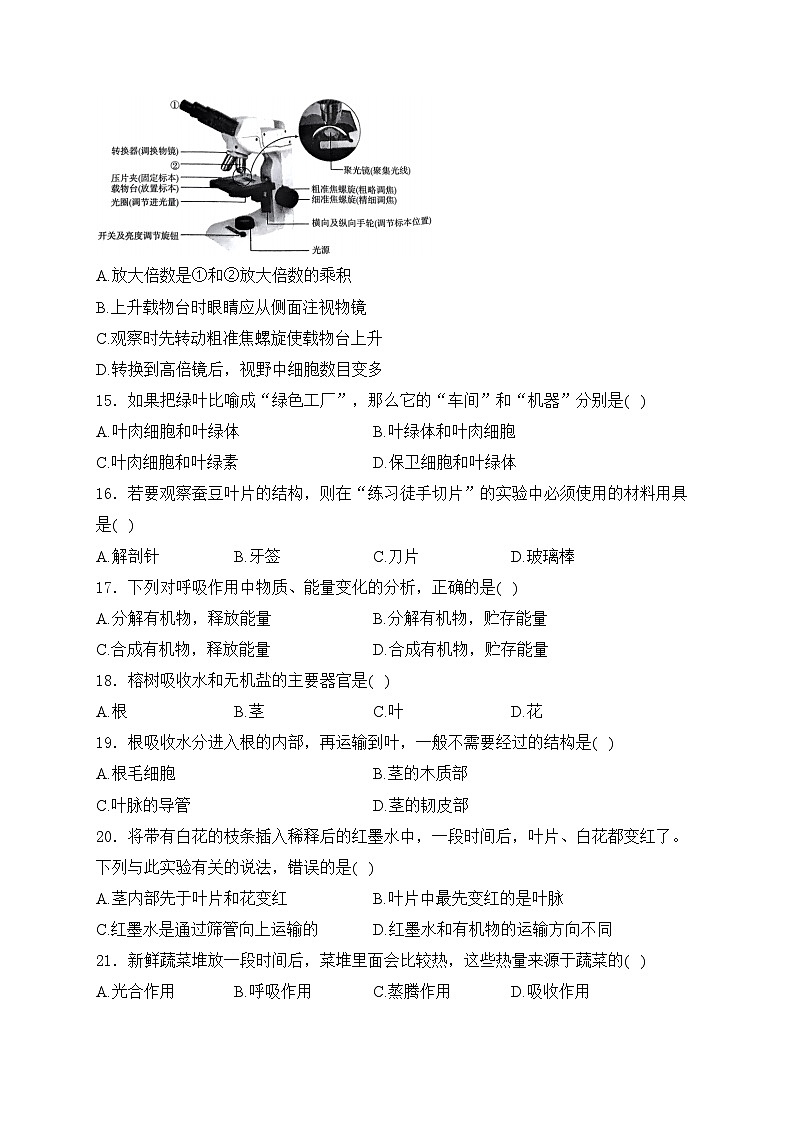 河北省廊坊市2024-2025学年七年级上学期11月阶段评估（二）生物试卷(含答案)第3页