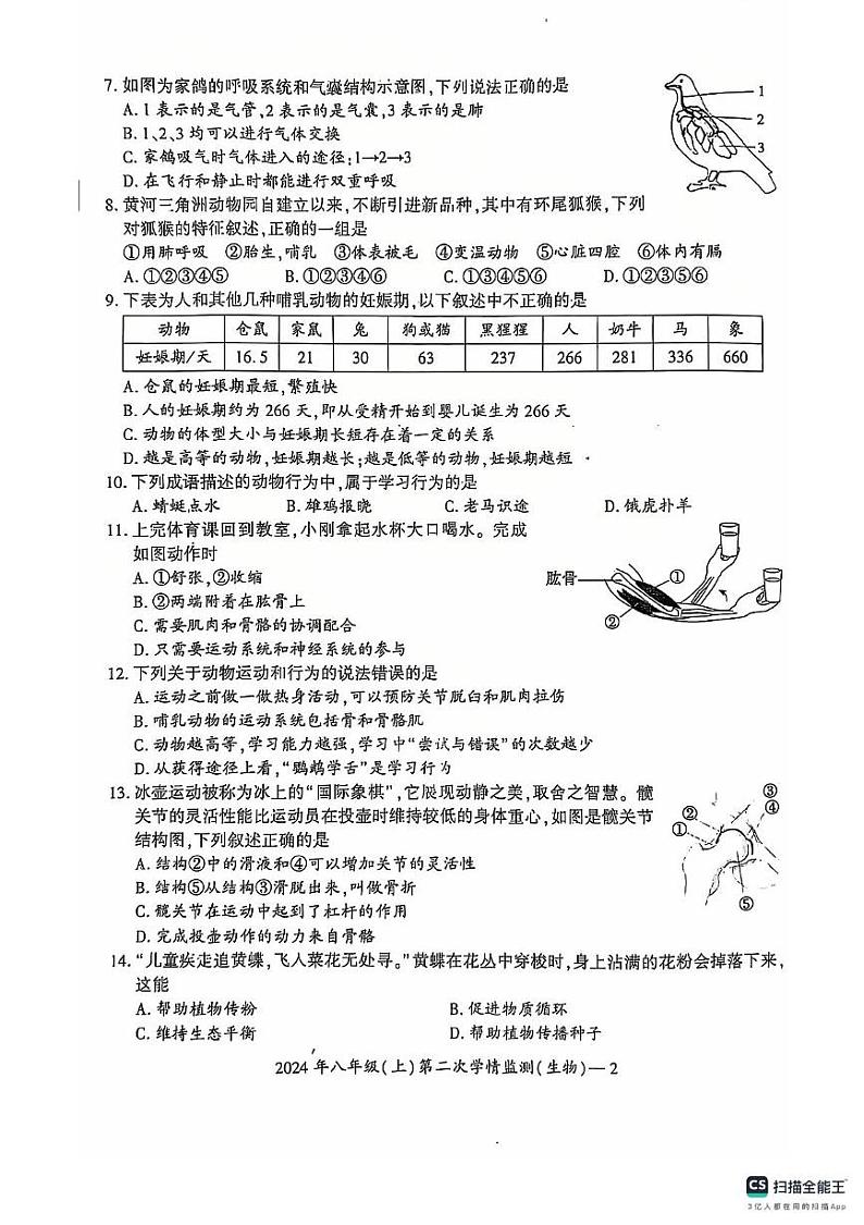 湖南省邵阳市邵东市2024-2025学年八年级上学期12月月考生物试题第2页