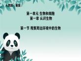 初中  生物  人教版（2024）  七年级上册第一节 观察周边环境中的生物 课件