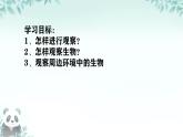 初中  生物  人教版（2024）  七年级上册第一节 观察周边环境中的生物 课件