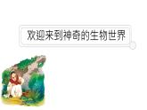 初中  生物  人教版（2024）  七年级上册第一节 观察周边环境中的生物 课件