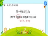 初中  生物  人教版（2024）  七年级上册第一节 观察周边环境中的生物 课件