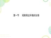 初中  生物  人教版（2024）  七年级上册第一节 观察周边环境中的生物 课件