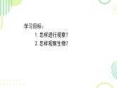 初中  生物  人教版（2024）  七年级上册第一节 观察周边环境中的生物 课件