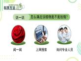 初中  生物  人教版（2024）  七年级上册第一节 观察周边环境中的生物 课件