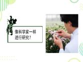 初中  生物  人教版（2024）  七年级上册第一节 观察周边环境中的生物 课件