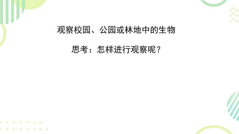 初中  生物  人教版（2024）  七年级上册第一节 观察周边环境中的生物 课件第7页