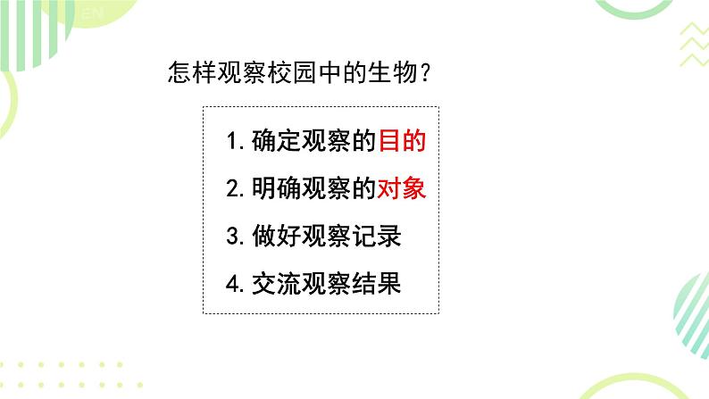 初中  生物  人教版（2024）  七年级上册第一节 观察周边环境中的生物 课件第8页