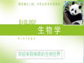初中  生物  人教版（2024）  七年级上册第一节 观察周边环境中的生物 课件
