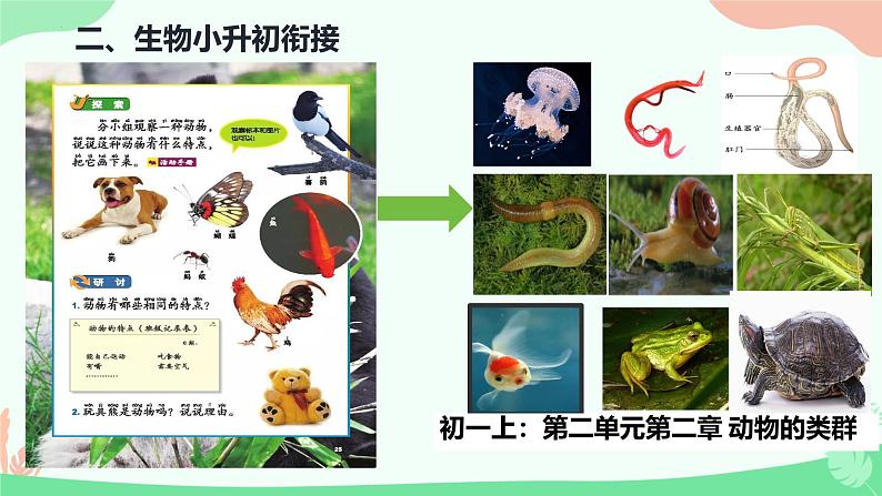 初中  生物  人教版（2024）  七年级上册第一节 观察周边环境中的生物 课件第4页