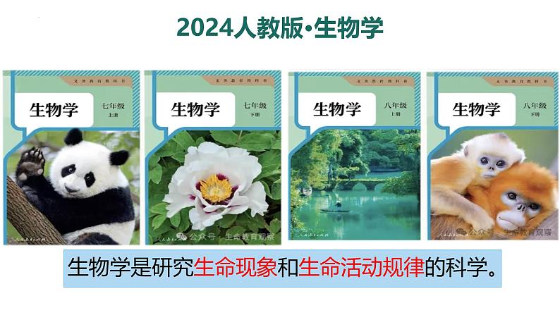 初中  生物  人教版（2024）  七年级上册第一节 观察周边环境中的生物 课件第6页