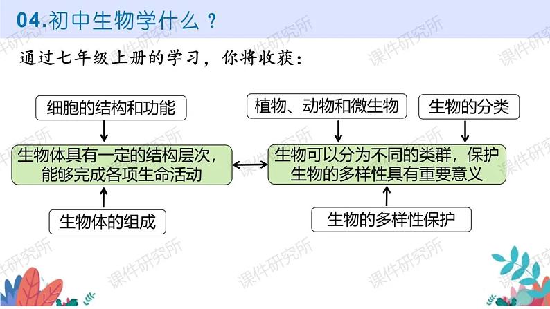 初中  生物  人教版（2024）  七年级上册第一节 观察周边环境中的生物 课件第8页