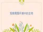 初中  生物  人教版（2024）  七年级上册第一节 观察周边环境中的生物 课件