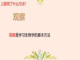 初中  生物  人教版（2024）  七年级上册第一节 观察周边环境中的生物 课件