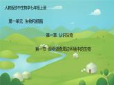 初中  生物  人教版（2024）  七年级上册第一节 观察周边环境中的生物 课件