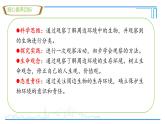 初中  生物  人教版（2024）  七年级上册第一节 观察周边环境中的生物 课件