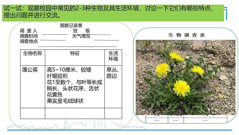 初中  生物  人教版（2024）  七年级上册第一节 观察周边环境中的生物 课件第6页