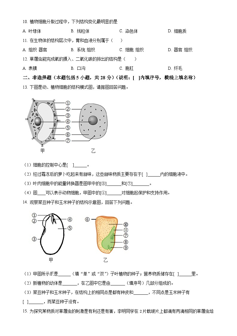 辽宁省阜新市细河区2024-2025学年七年级上学期期中生物学试题（原卷版）-A4第2页
