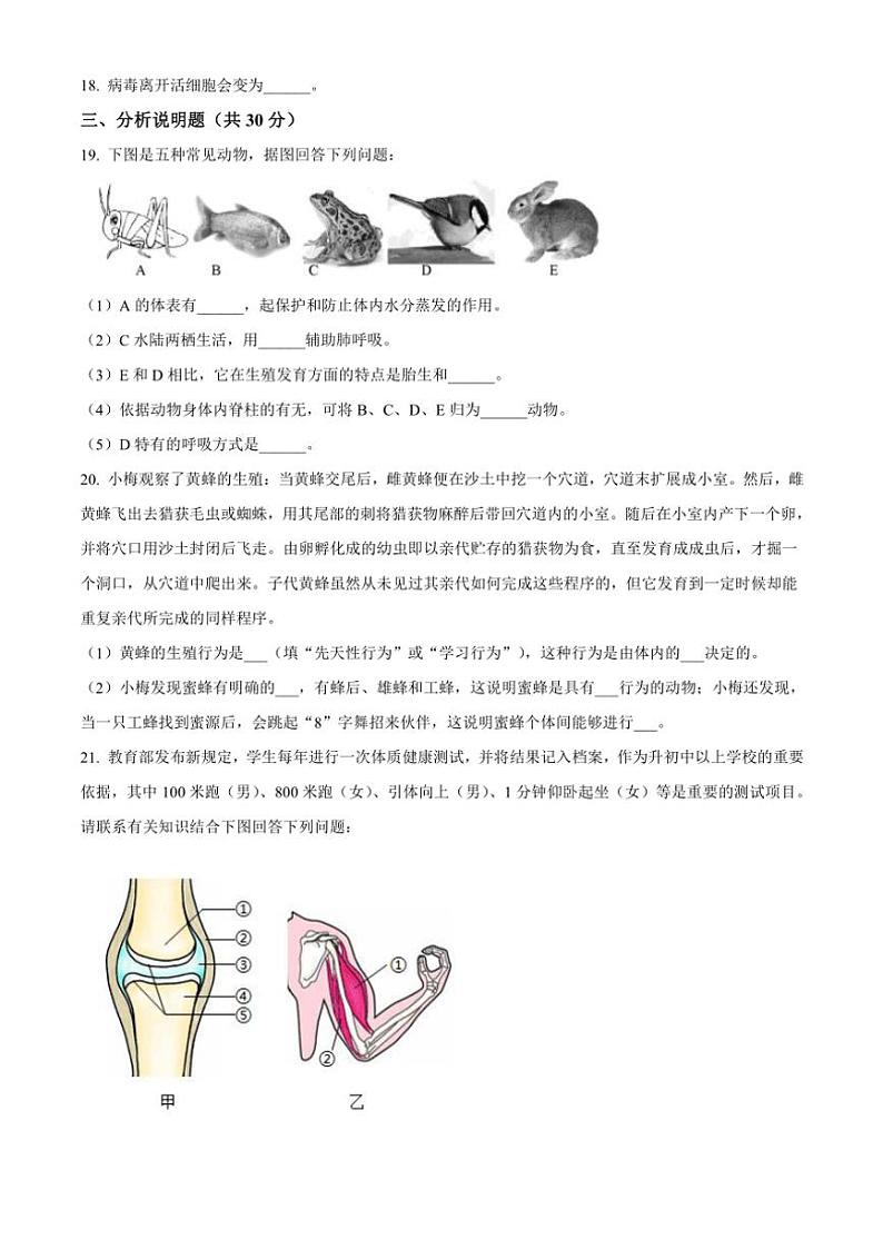 2024～2025学年甘肃省定西市渭源县八年级(上)11月月考生物试卷(含答案)第3页