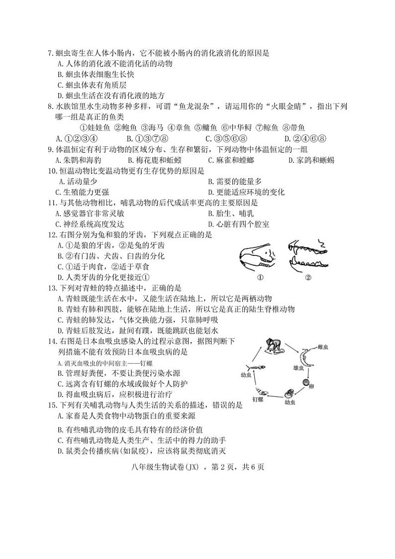 2024～2025学年河北省石家庄市井陉县陉山中学八年级(上)期中生物试卷(无答案)第2页