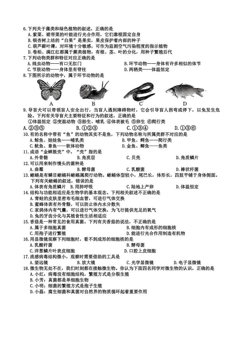 2024～2025学年河南省周口市川汇区多校七年级(上)第三次月考生物试卷(无答案)第2页