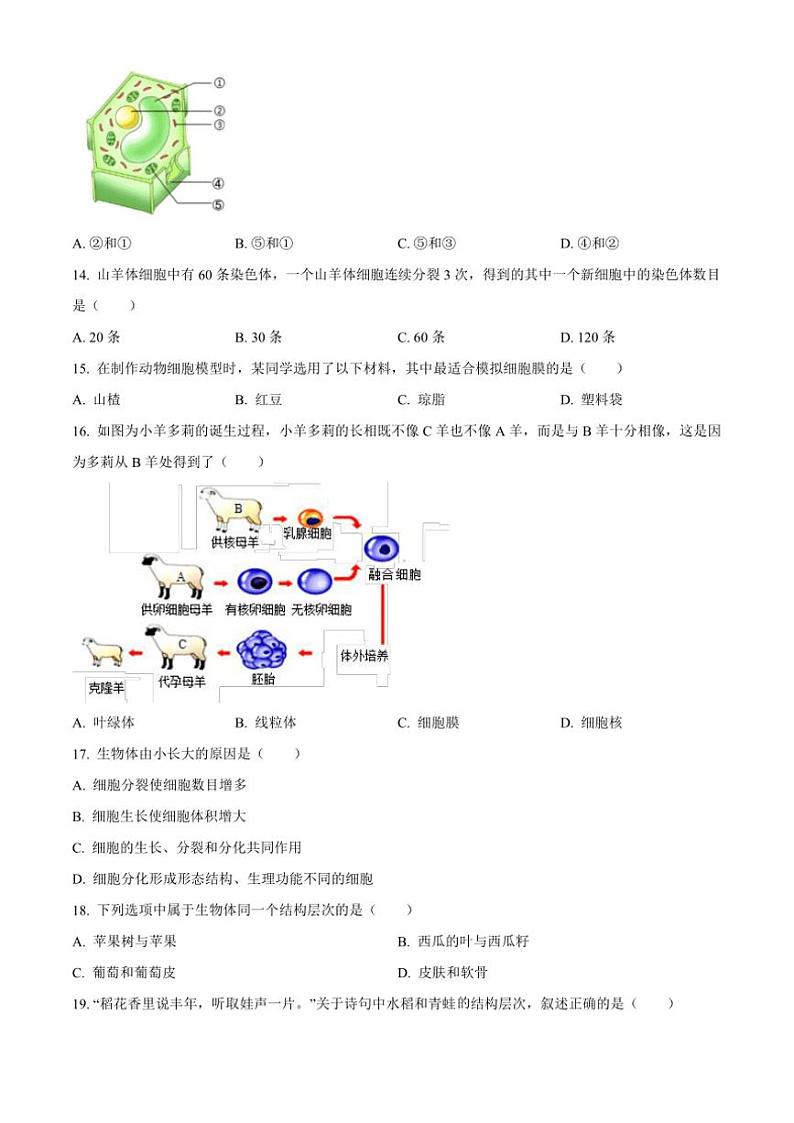 2024～2025学年吉林省松原市乾安县七年级(上)期中生物试卷(含答案)第3页