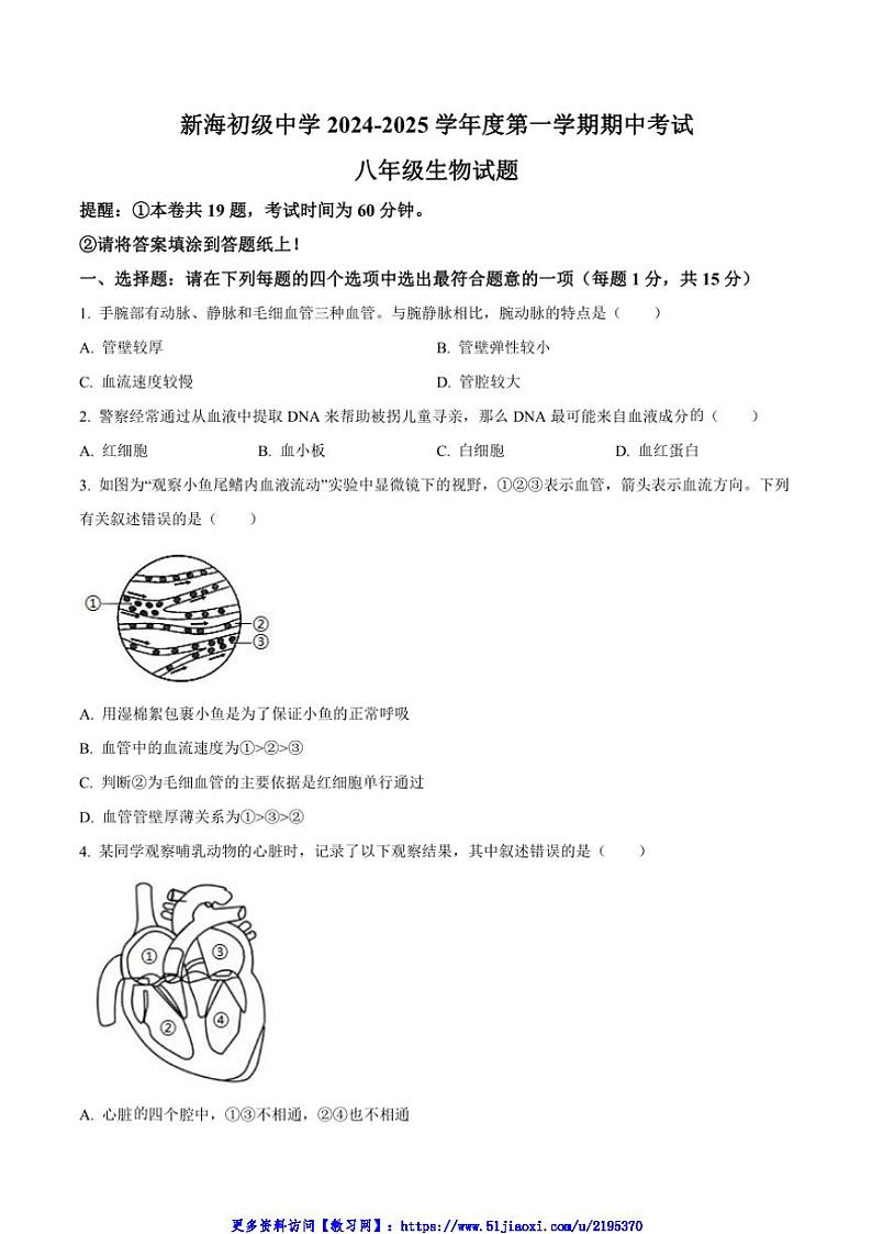 2024～2025学年江苏省连云港市新海初级中学八年级(上)期中生物试卷(含答案)第1页