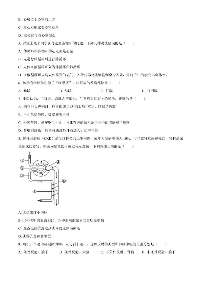 2024～2025学年江苏省连云港市新海初级中学八年级(上)期中生物试卷(含答案)第2页