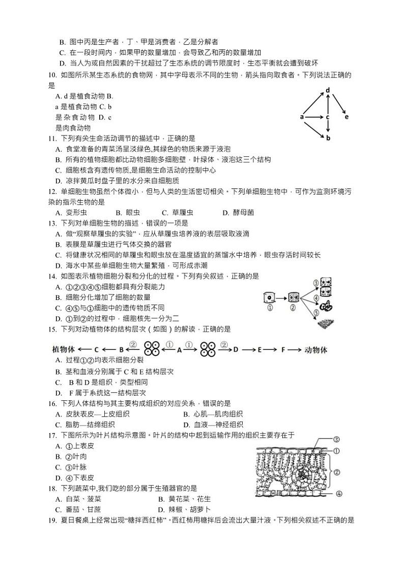 2024～2025学年江苏省南通市海门区东洲国际学校七年级(上)12月份月考生物试卷(无答案)第2页
