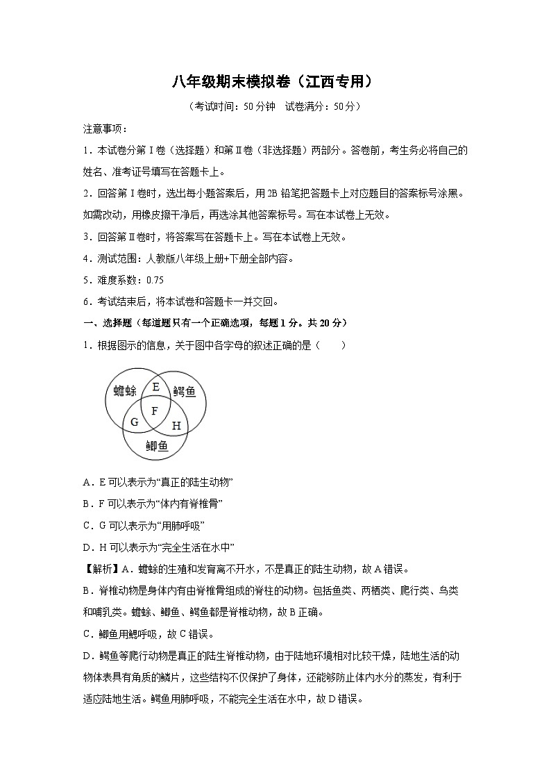 八年级(上)期末模拟卷(江西专用)生物试卷(解析版)第1页